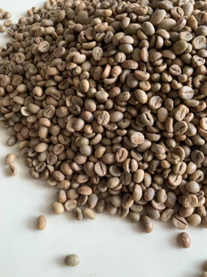 Dampit Robusta Green Coffee Beans