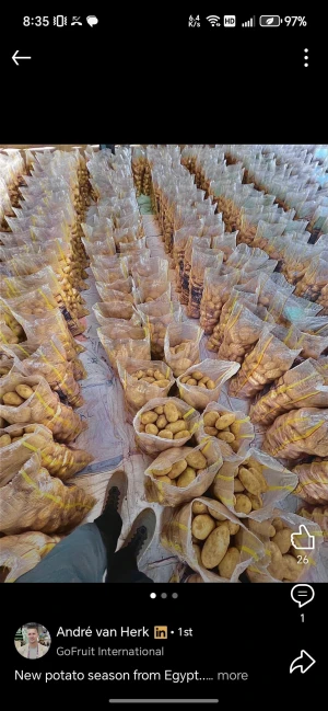 POTATOES