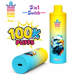 Wholesale Bangking Triple 100k Puffs DSK043 Vape  Romania Global Market Factory Direct Price