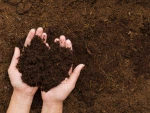 Verimicompost Organic Fertilizer for Healthy Soil and Plants