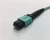 Import MPO Connector wholesale from Taiwan
