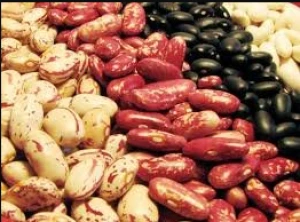 Beans - Kidney Bean, Chickpeas, Vigna Beans, Soybeans, Peas, Mung Beans, Black Beans, Butter Beans