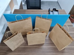 Custom or Plain Kraft Paper Bags & Recycled Paper Bags with Twisted Handle