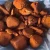 Import COW OX GALLSTONES from South Africa
