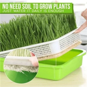 Sprout Growing Trays   Plastic Plant Trays Wholesale     Microgreen Sprouting Trays
