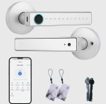 Tuya Bluetooth Smart Fingerprint Handle Lock, TTLock Electronic Indoor Lever Lock for Wooden Doors