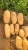 Import POTATOES from Egypt