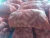Import POTATOES from Egypt