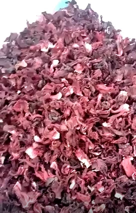 Buy Dried Hibiscus Flowers from Company Afrogric Trading Company