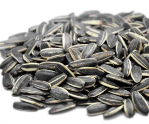 Best Quality Sunflower Seeds