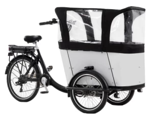 Electric Family Cargo Bike7