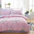 Import 100% cotton Luxury sell well winter fitted sheet down Duvet cover from China
