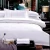 Import 100% cotton Popular Hotel bedding bed line set from China