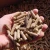 Import 100% Pure Wood pellets fuel Cooking BBQ Pellet fule Smoker Grill from China