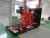 Import 10kw-5mw CHP cogeneration generator coal gas from China