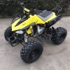 110CC 125CC Quad ATV for Adult With CE Approved