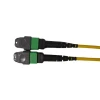 12 Strand 9/125 Singlemode MTP Fiber Cable  Fiber Patch cord MTP Female Connector MTP Fiber Cable