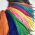 14-16&quot; Bleached and Dyed long colorful cheap sale carnival Rooster cock Tail Feathers for clothing decoration
