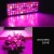 Import 2020 China Wholesale OEM Promotion UV IR Full Spectrum Led Grow Light Panel For Greenhouse Plants from China