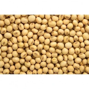 2020 New Crop Yellow Soybeans Wholesale Price High Quality