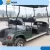 Import 2+2 Seater Gas/Electric Golf Cart from China