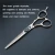 Import 5.5/6.0 inch FMG-03 new fashion design beauty barber scissors flat scissors tooth Hair  scissors from China