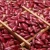 Import AD Drying Process and Kidney Beans Product Type Red Kidney Beans from China