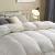 Import All Season Goose Down Comforter Ultra Soft Egyptian Cotton Comforter Designer Comforter Bedding Set from China