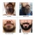 Import Amazon hot selling organic beard oil beard growth kit mens premium beard grooming kit from China