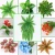 Import Artificial green wall hanging decorative green leaves artificial plants outside from China