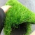 Import Artificial Lawn Grass for Playground & Sports outside artificial lawn grass artificial lawn outdoor from Hong Kong