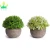 Import Artificial Round Grass Plants Set of 3 With Grey Pot, 9.5*13cm Small Indoor and Outdoor Fake Plants, Plastic Plants for House from China