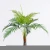 Import Artificial Trees indoor Decorative Nearly Natura green trees 75*83*95CM Faux Kwai tree in pp pot/lvs9 from China