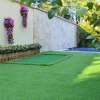 ASHER China  Factory supply outdoor wall grass artificial carpet artificial turf