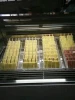 Australian Ice Cream cabinet Popsicle Display Freezer