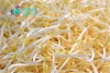 bean sprouts making machine bean product processing machine bean sprouts maker