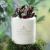 Import Beautiful Pillar Candles Wedding Candles Gift Candles Wholesale Easter Ramadan Home Decoration for Halloween Christmas from China