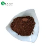 Best alkalized dark brown raw plain cocoa cacao powder brands price