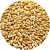 Import Best barley grain for sale in bulk from Kazakhstan