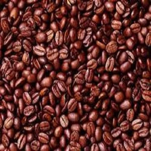 Best quality dried cocoa beans for sale