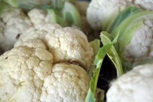 Best Quality Fresh Cauliflower for sale