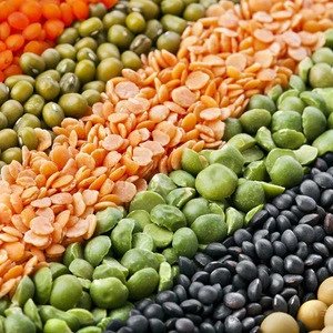 BEST QUALITY GREEN AND RED LENTILS  , LOW PRICE