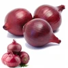 Best Quality Wholesale Cheap Price Hot Selling Vegetable Fresh Healthy Red Onions
