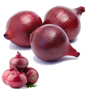 Best Quality Wholesale Cheap Price Hot Selling Vegetable Fresh Healthy Red Onions