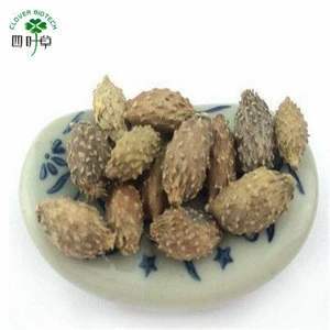 best selling products Natural siberian cocklebur fruit extract Glucoside 3% xanthium sibiricum extract