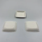Biodegradable Dishes Plate Degradable Lightweight Unbreakable Dishwasher