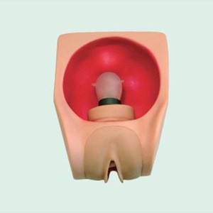 BIX-F9B female contraception model with anteversion uterus simulator
