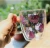 Import Borosilicate glass Transparent /colored  double wall glass coffee cup with LFGB from China