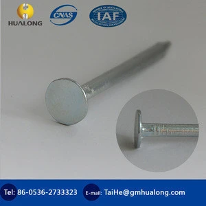 Bright flat caps galvanized roofing nails ISO9001/Flat Head Clout Nails/Polishing Clout Nails
