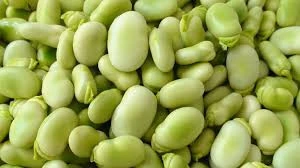 Broad beans/ Fava beans